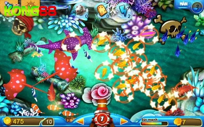 Bắn cá theo từng bầy giúp năng suất hơn 40%