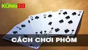 Luật Đánh Phỏm Kong88 - Hướng Dẫn Chơi Từ A - Z Cho Tân Thủ